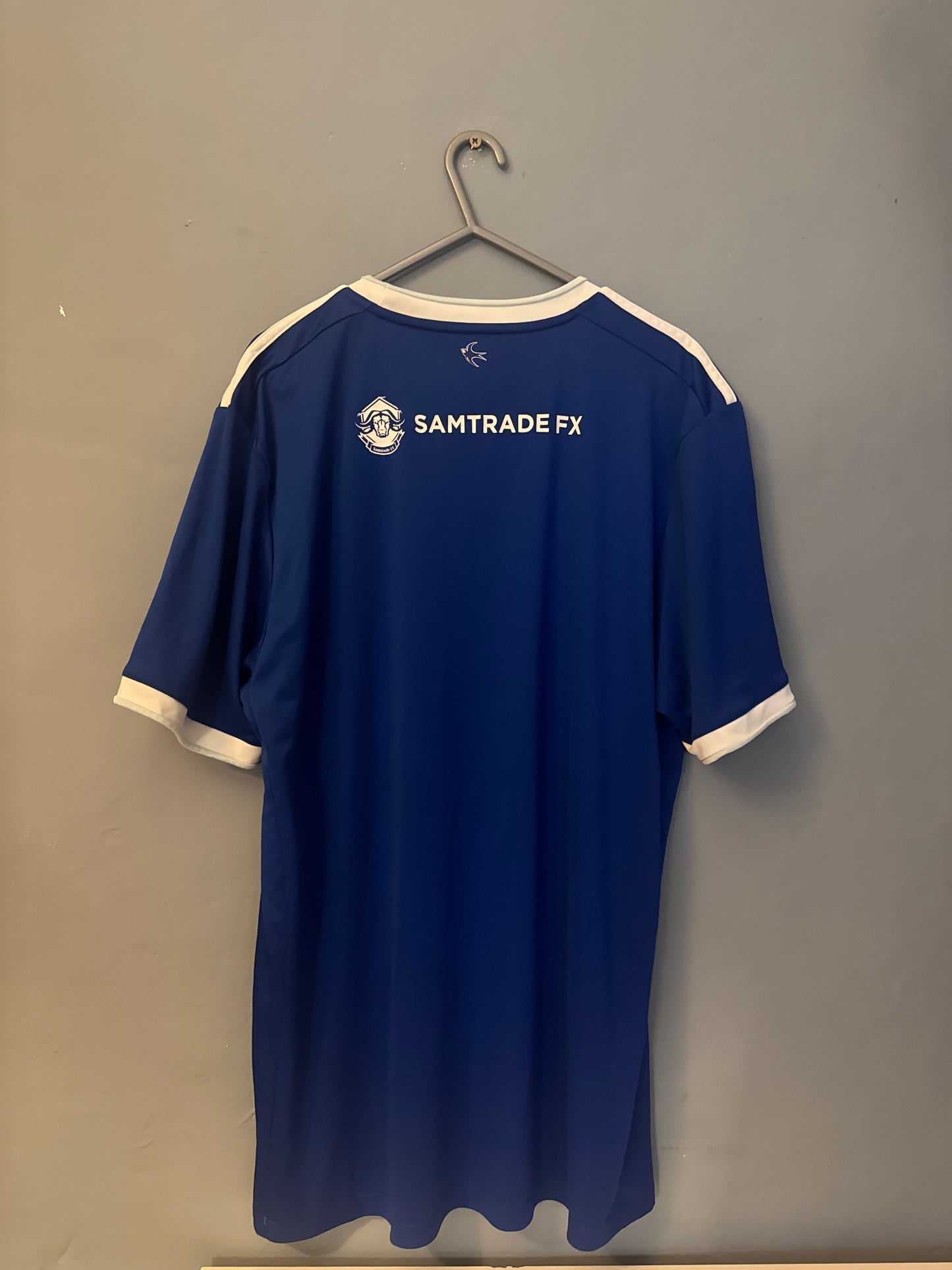 Cardiff City Football Shirt - 2020 / 2021 - Home - Large