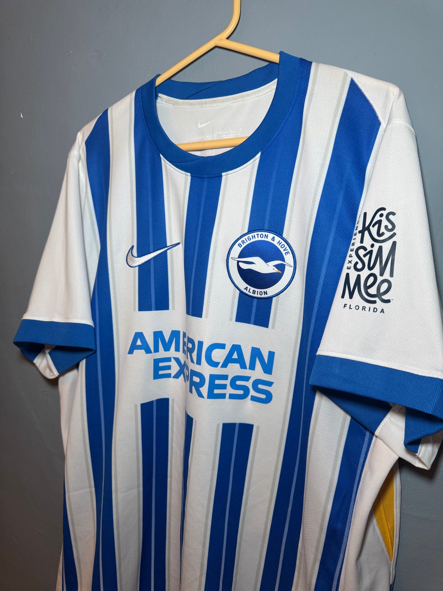 Brighton and Hove Albion Football Shirt - 2024 / 2025 - Home - XL - #29 van Hecke